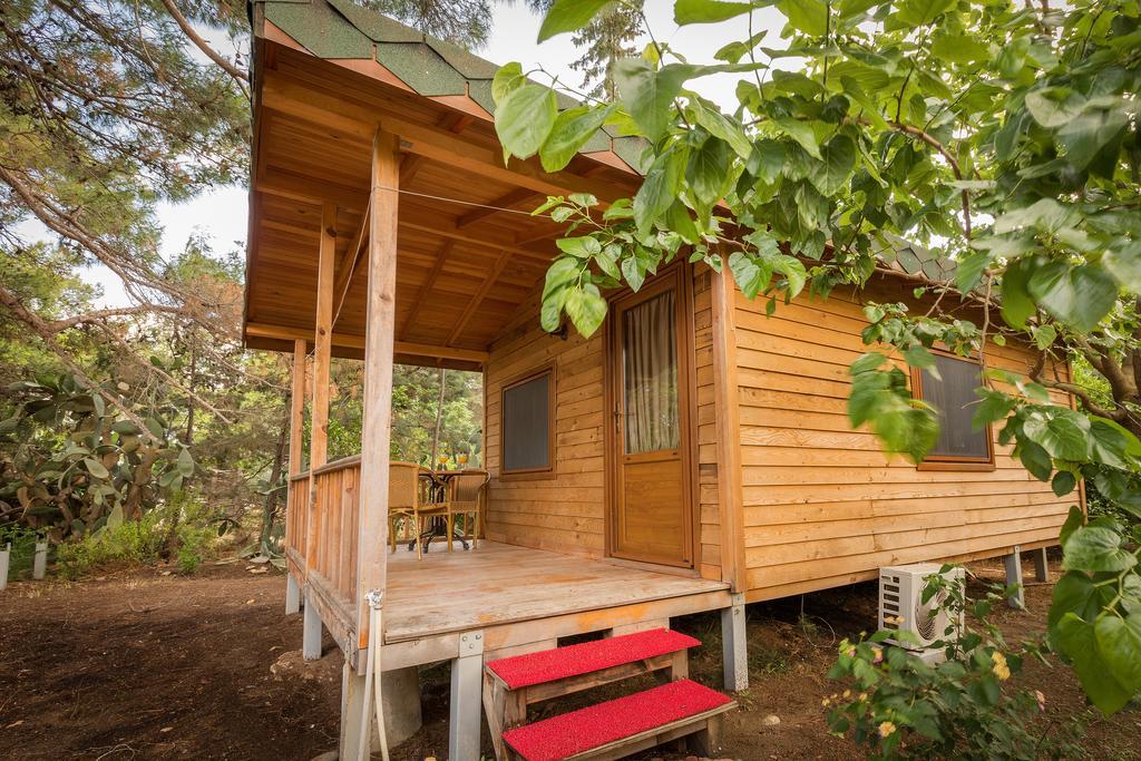 Secret Garden Hotel & Bungalows Çıralı Quarto foto